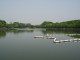 img0004.jpg