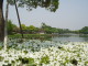 img0005.jpg