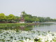 img0006.jpg