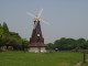 img0009.jpg
