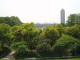 img0011.jpg