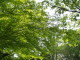 img0012.jpg