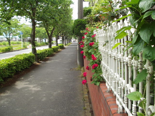 img0001.jpg
