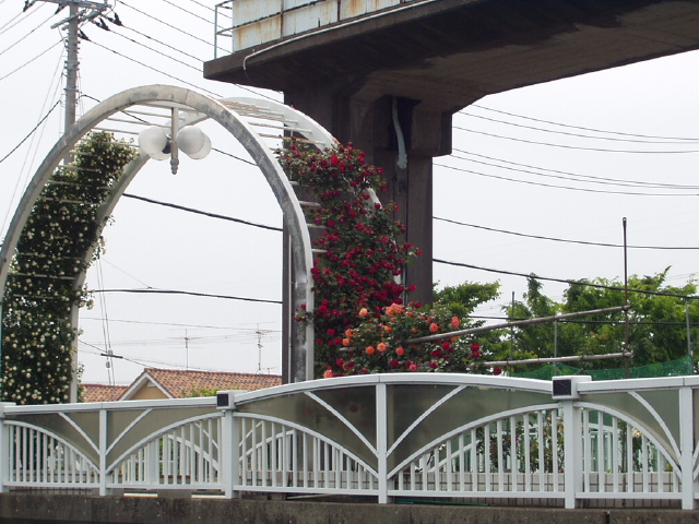 img0002.jpg