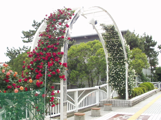 img0003.jpg