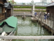 img0008.jpg