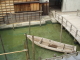 img0014.jpg