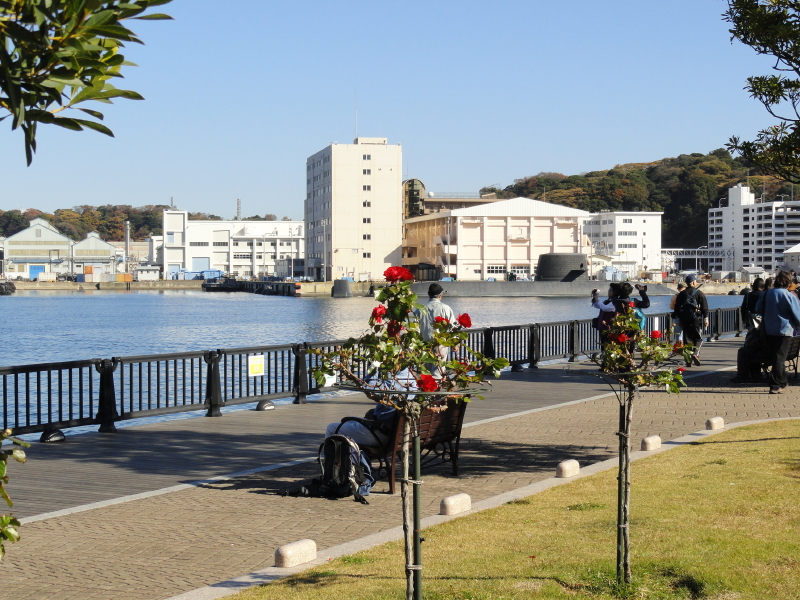 img0034.jpg
