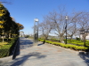 img0011.jpg