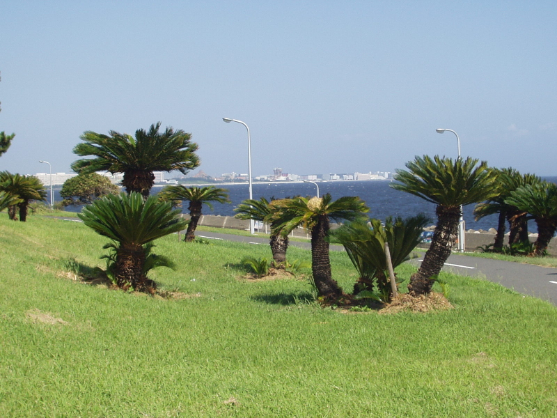 img0010.jpg