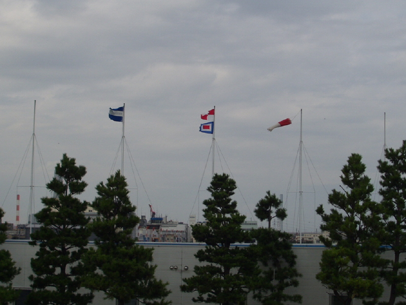 img0012.jpg