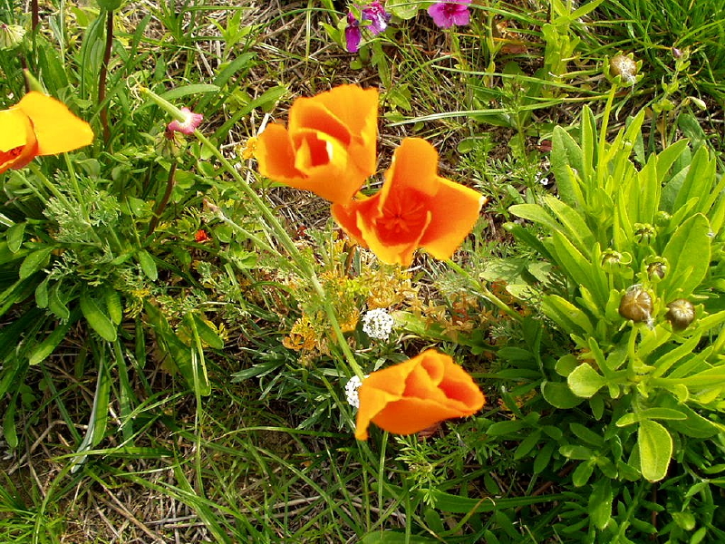 img0017.jpg