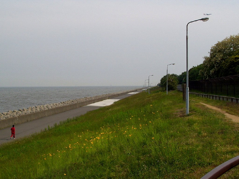 img0019.jpg