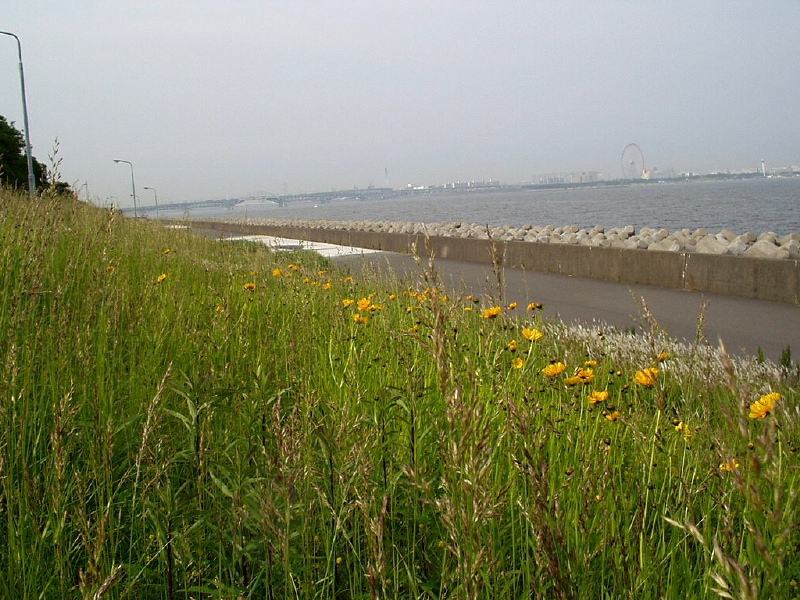 img0021.jpg