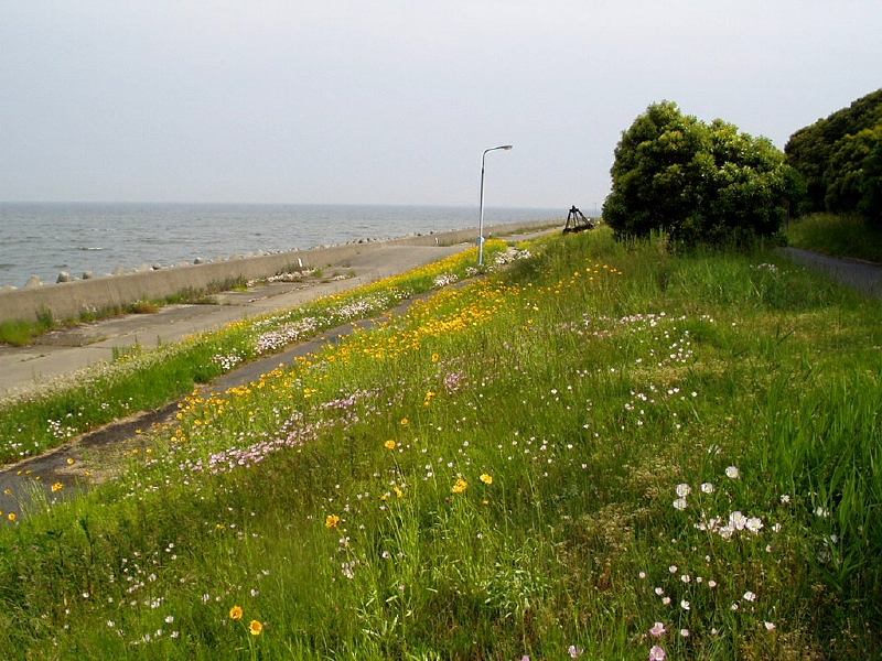 img0022.jpg