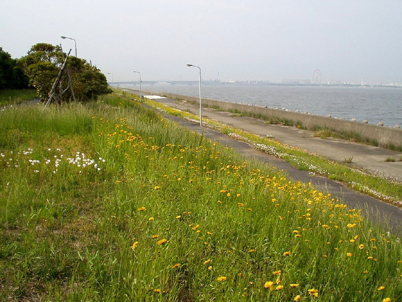 img0023.jpg