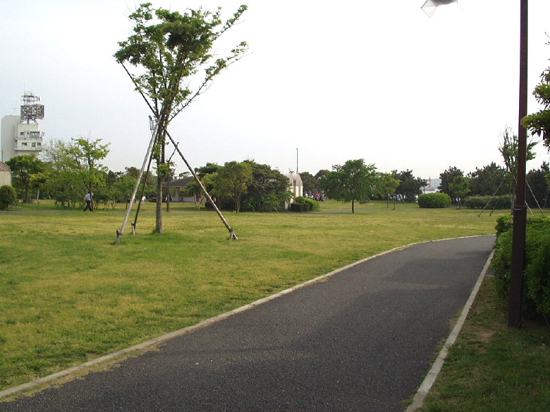 img0029.jpg