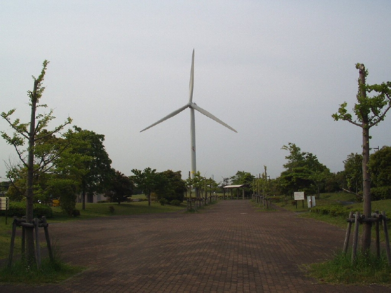 img0031.jpg