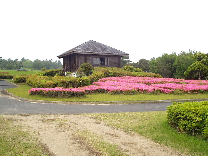 img0036.jpg