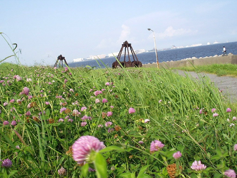 img0053.jpg