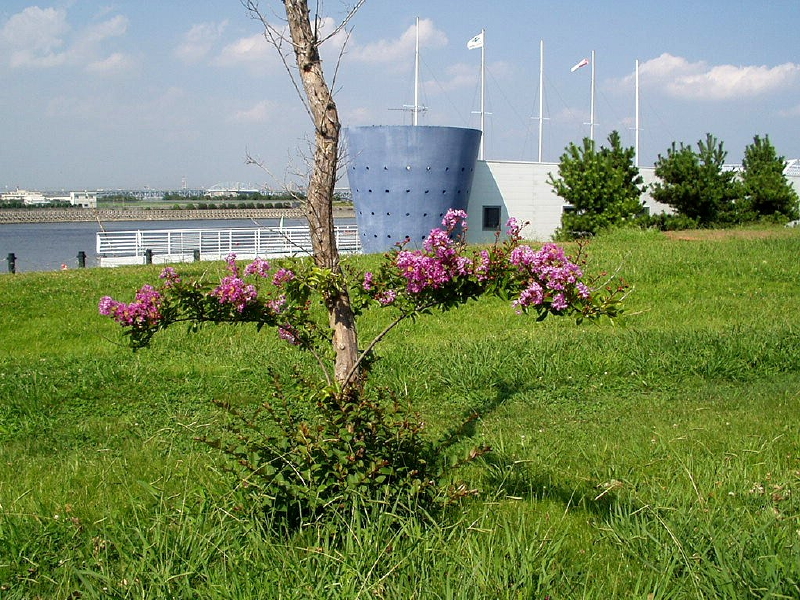 img0058.jpg