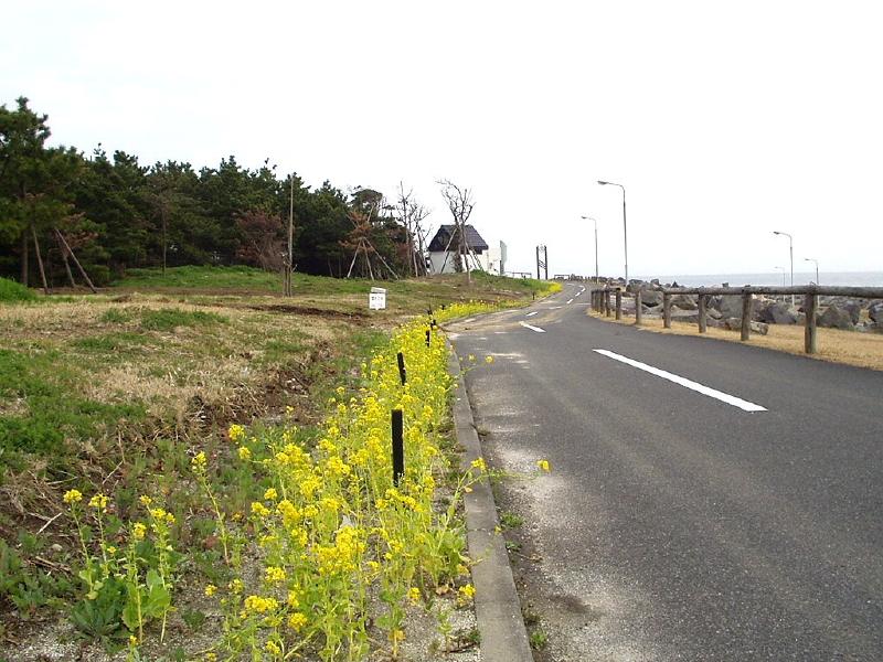 img0072.jpg