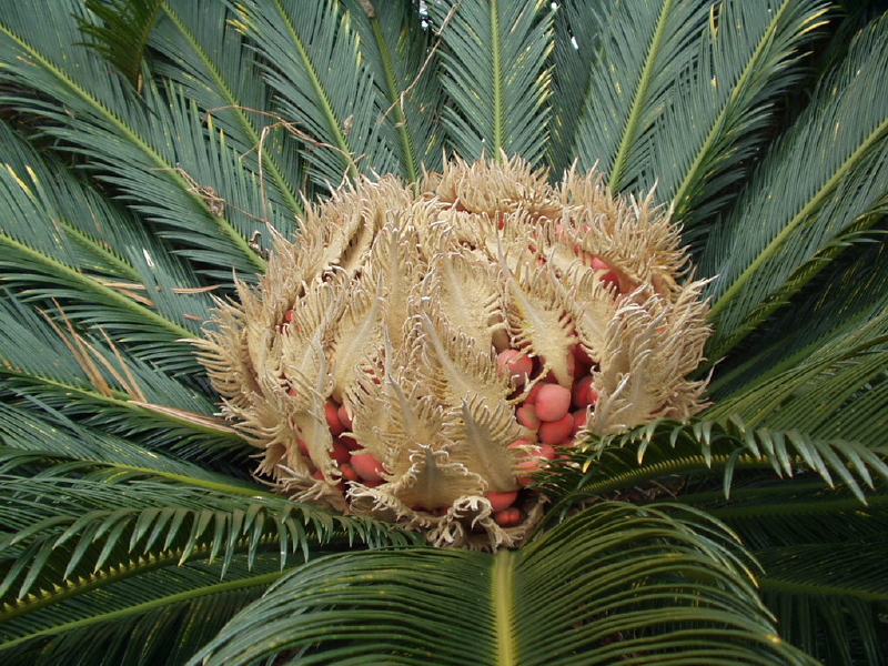 img0074.jpg