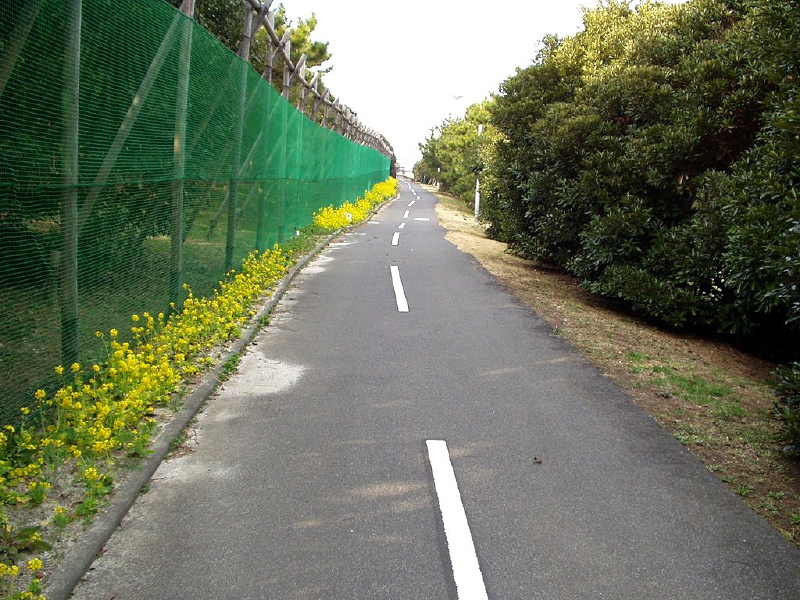 img0077.jpg