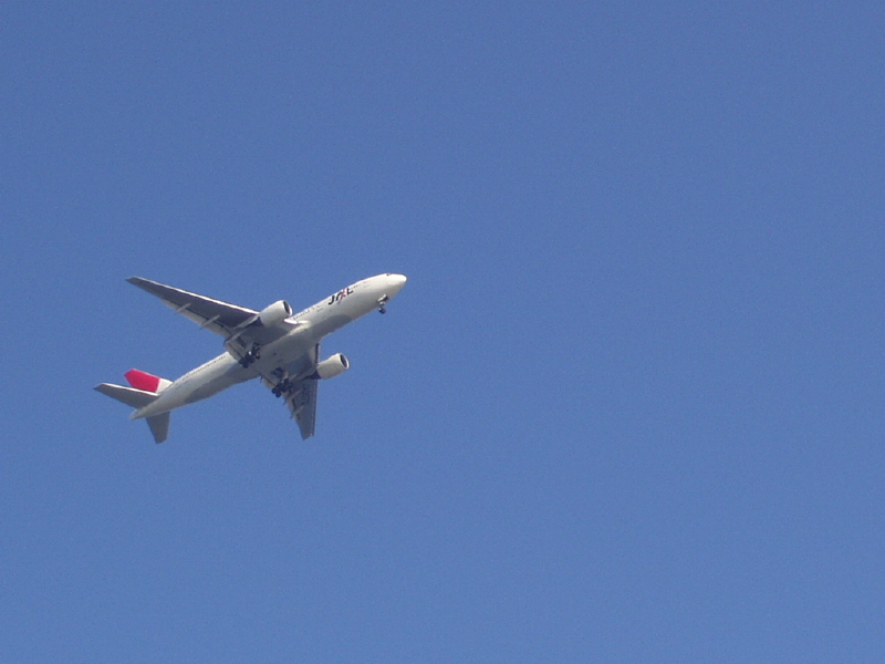 img0084.jpg
