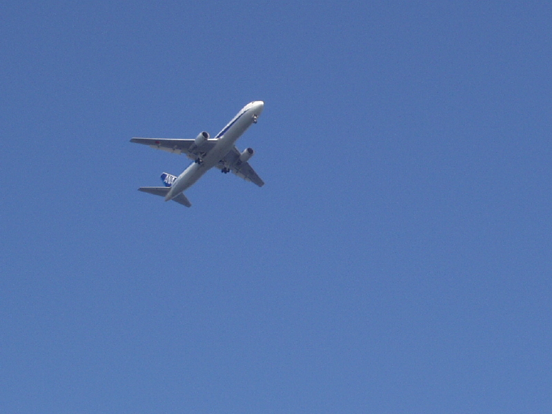 img0087.jpg