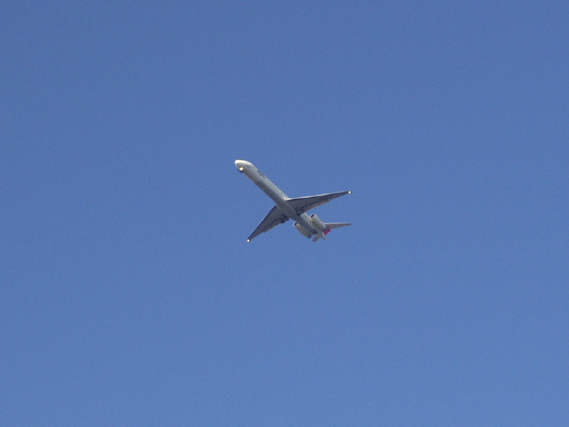 img0089.jpg