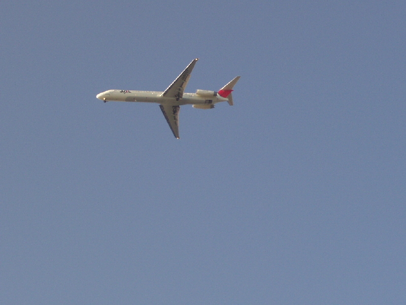 img0090.jpg