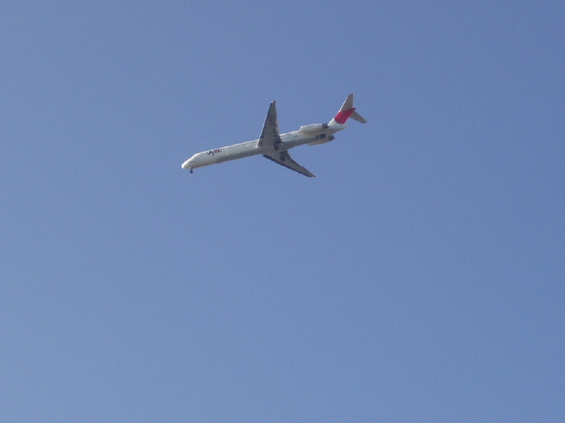 img0091.jpg