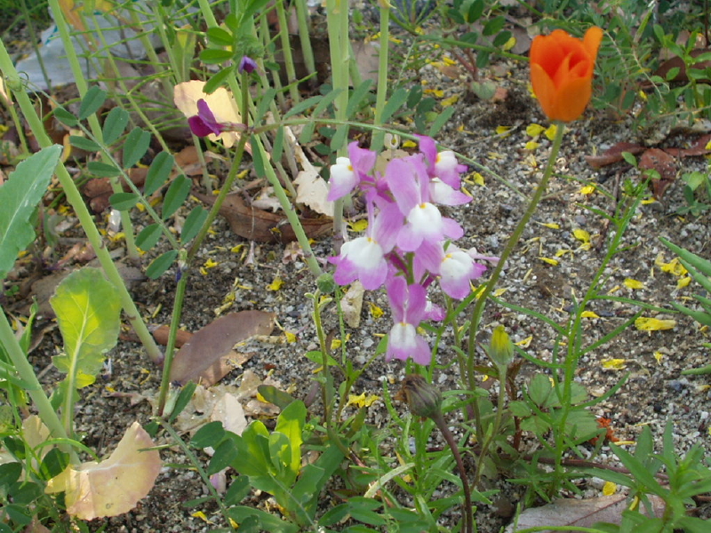 img0100.jpg