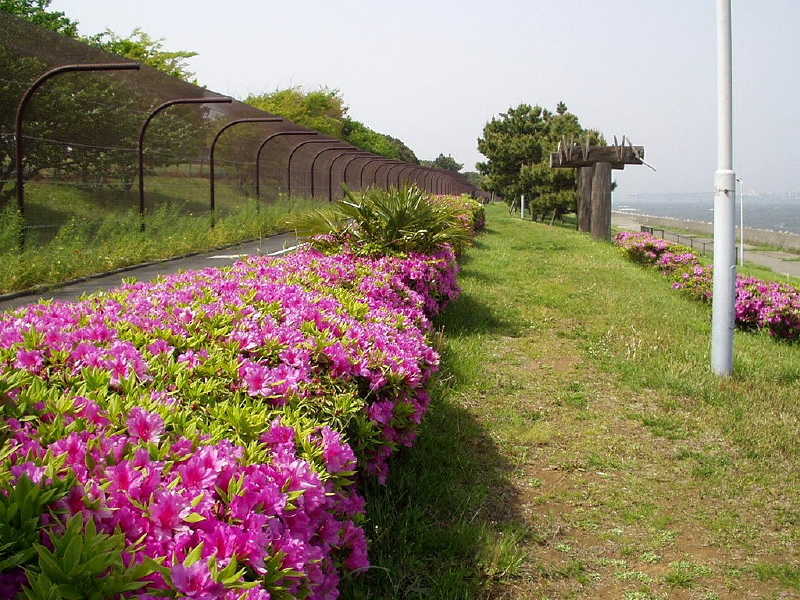 img0104.jpg