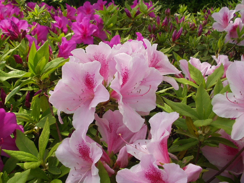 img0108.jpg