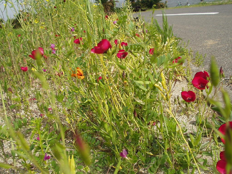 img0111.jpg