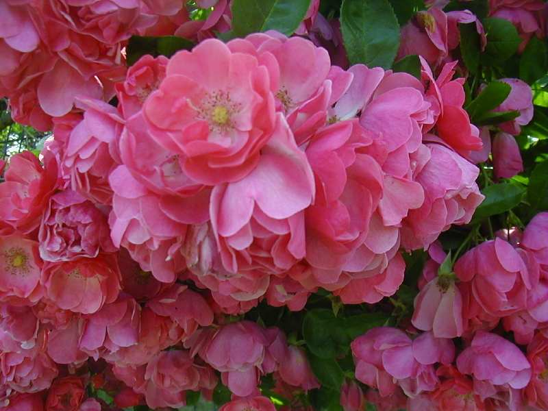 img0134.jpg