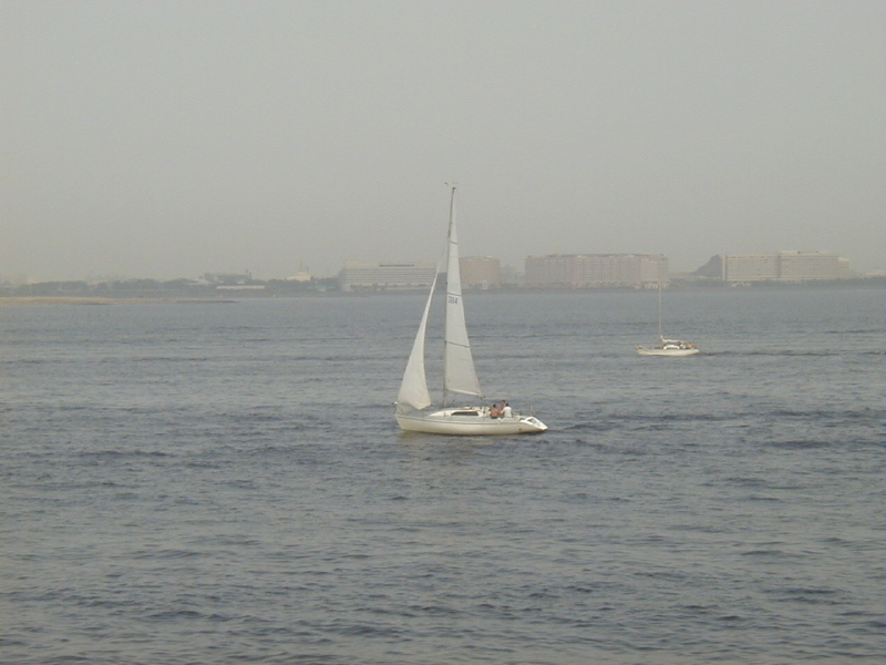 img0137.jpg