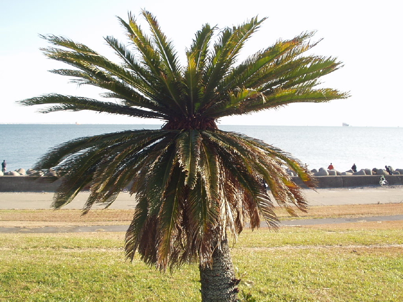 img0152.jpg