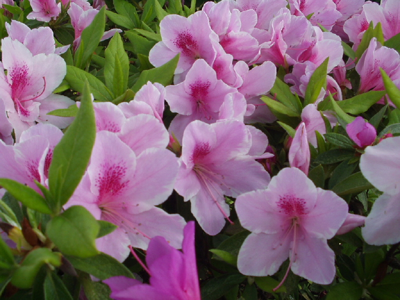 img0154.jpg