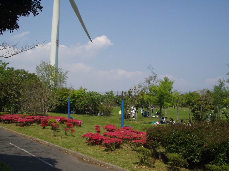 img0157.jpg