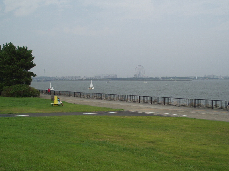 img0174.jpg