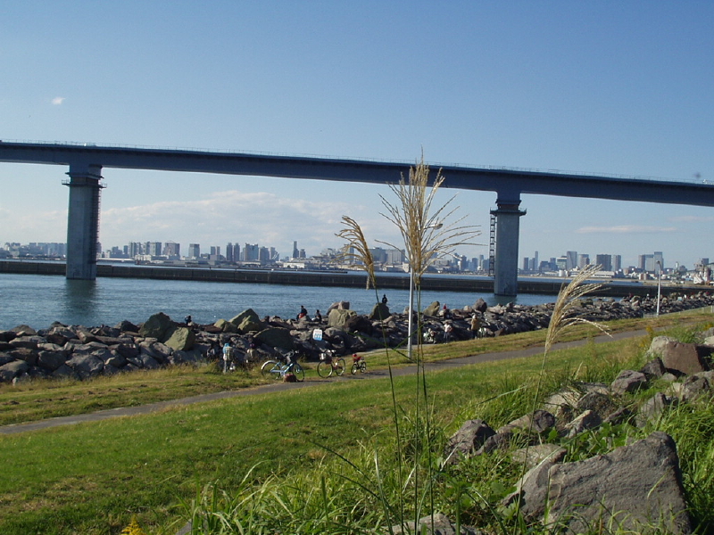 img0177.jpg