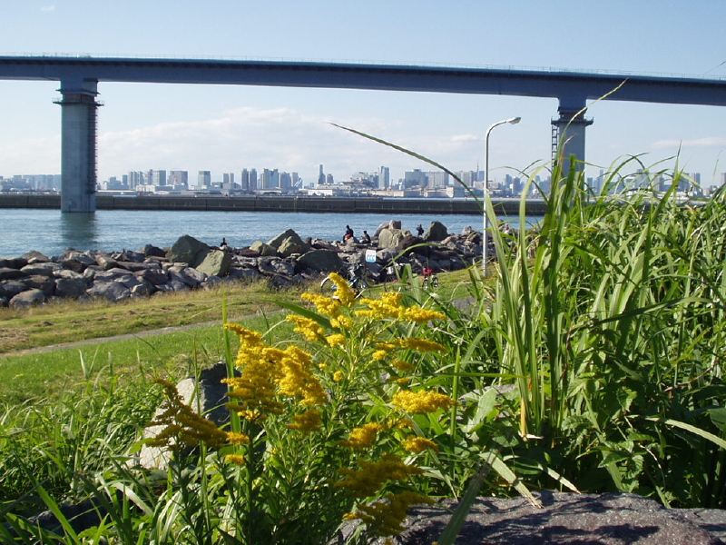 img0178.jpg
