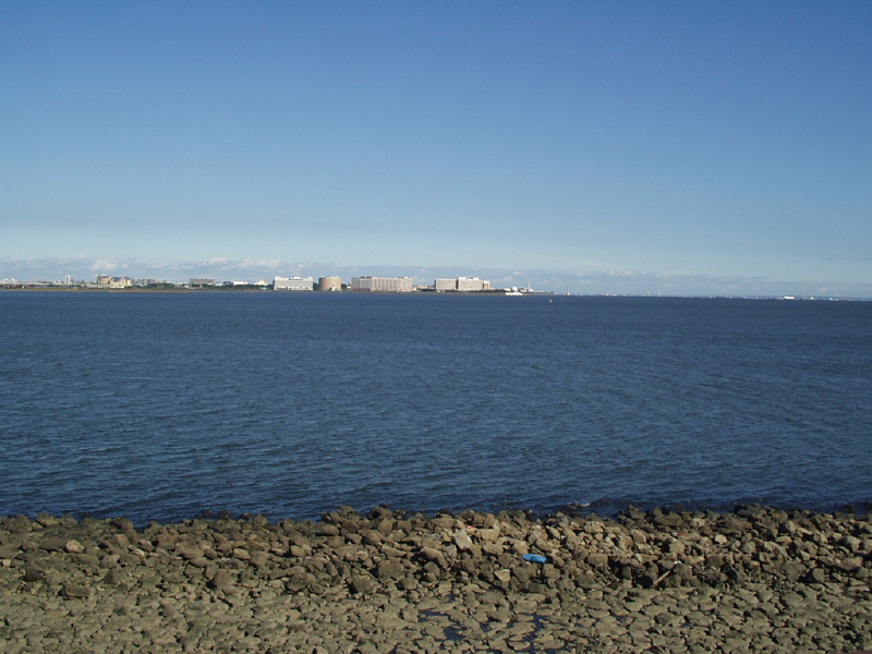 img0181.jpg