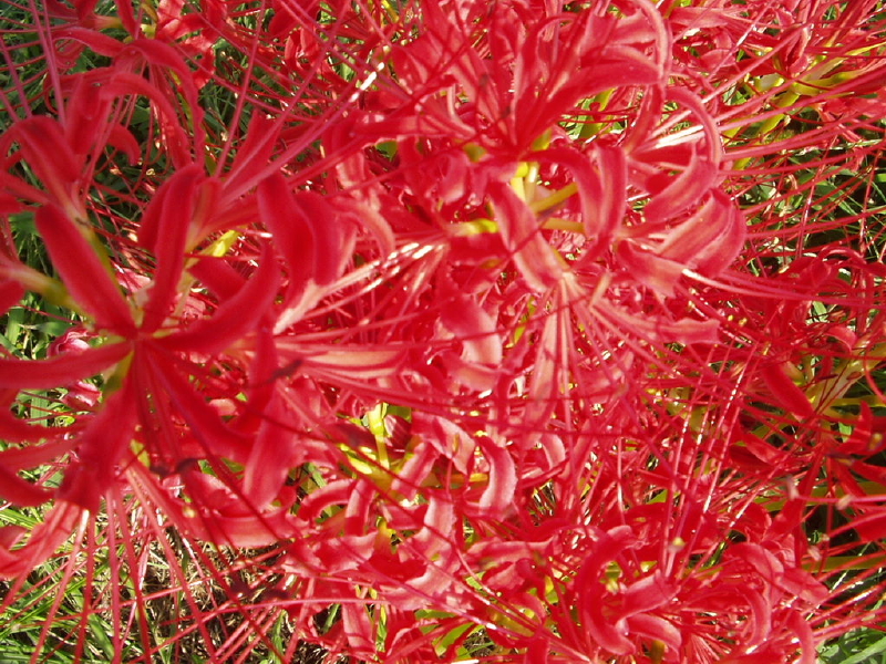 img0187.jpg
