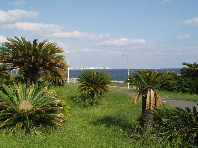 img0190.jpg