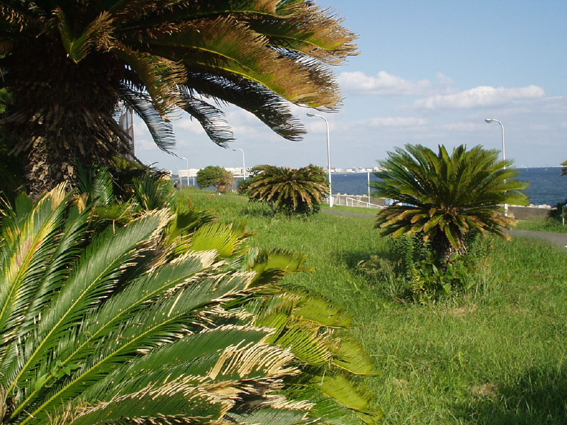 img0193.jpg