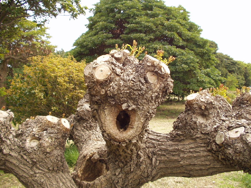 img0197.jpg